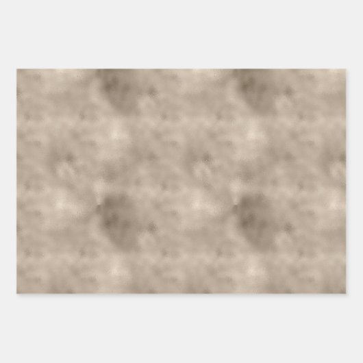 Gold Bronze Leopard Print Geschenkpapier Set (Vorderseite 3)