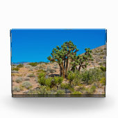 Gold Butte National Monument Fotoblock (Vorderseite)