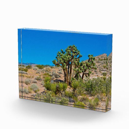 Gold Butte National Monument Fotoblock (Rechts)