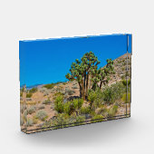 Gold Butte National Monument Fotoblock (Links)