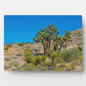 Gold Butte National Monument Fotoplatte (Vorderseite)