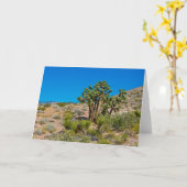 Gold Butte National Monument Karte (Gelbe Blume)