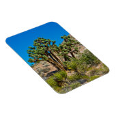 Gold Butte National Monument Magnet (Rechte Seite)