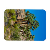 Gold Butte National Monument Magnet (Horizontal)
