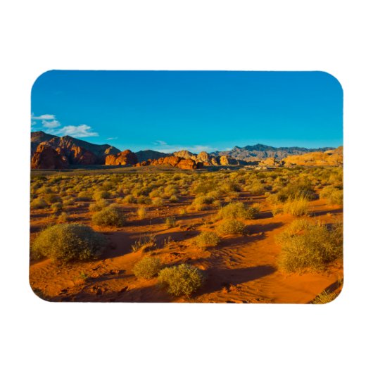 Gold Butte National Monument, Mud Road Vista Magnet (Horizontal)