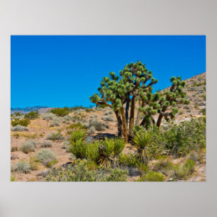 Gold Butte National Monument Poster