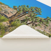 Gold Butte National Monument Sherpadecke (3/4)