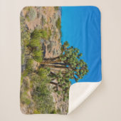 Gold Butte National Monument Sherpadecke (Vorderseite)