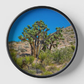 Gold Butte National Monument Uhr (Vorderseite)