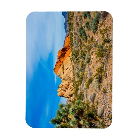 Gold Butte National Monument, Whitney Pocket Magnet (Vertikal)