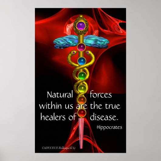 GOLD CADUCEUS, 7 CHAKRAS, Heilung, Medizin, Yoga Poster (Vorne)