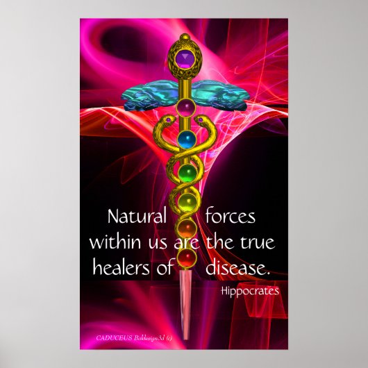 GOLD CADUCEUS,7 CHAKRAS,PINK FRAKTAL WAVES Medical Poster (Vorne)