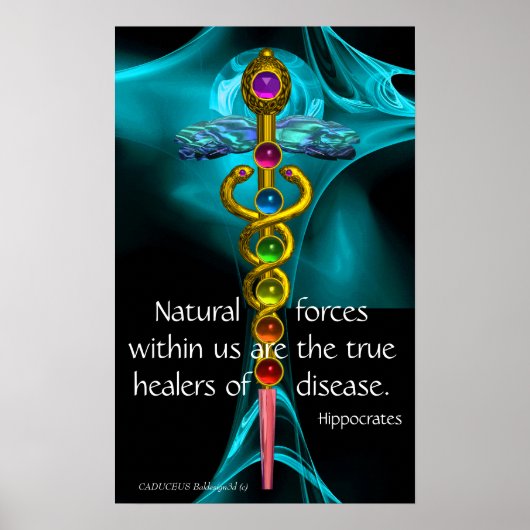 GOLD CADUCEUS UND 7 CHAKRAS IN ROSE MIT BLAUEM FRA POSTER (Vorne)