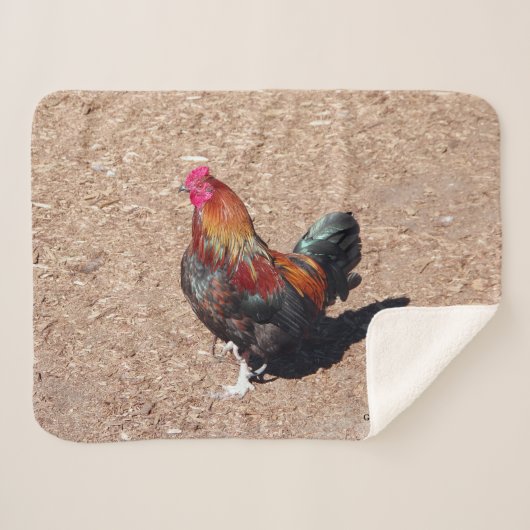 Gold Cockerel Rooster sherpa blanket Sherpadecke (Vorderseite (Horizontal))