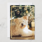 Gold Confetti Border Red Foto Collage Weihnachten (Rückseite)