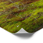 Gold Creek Pond Poster (Ecke)
