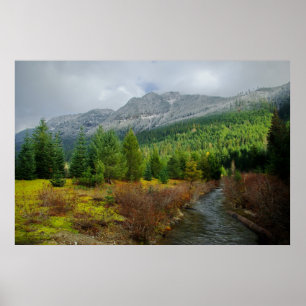 Gold Creek Pond Poster
