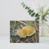 Gold Creme Pair OBX Postkarte (Stehend Vorderseite)