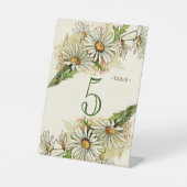 Gold Daisies mit Sage Wedding Tischnummer Pedest Sockelschild (Vorderseite)