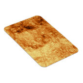 Gold Daisy Reflections Magnet (Rechte Seite)