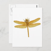 Gold Dragonfly Postkarte (Vorne/Hinten)