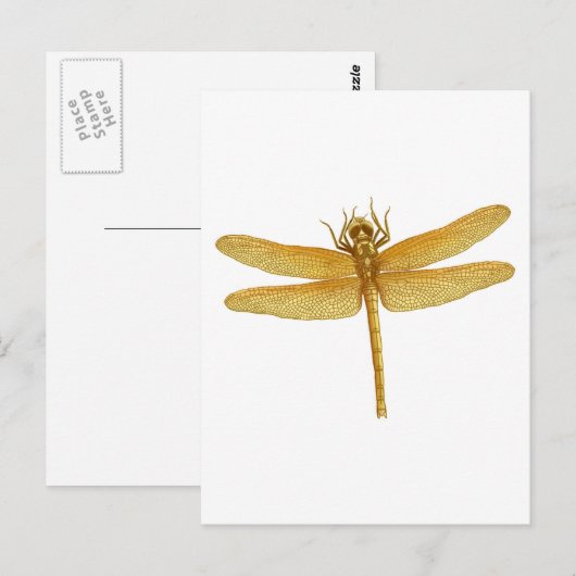 Gold Dragonfly Postkarte (Vorne/Hinten)