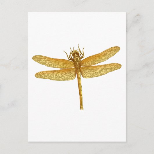 Gold Dragonfly Postkarte (Vorderseite)