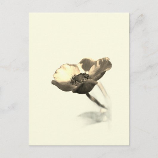 Gold Dream Blume - Wunder der Minimalistischen Nat Postkarte (Vorderseite)