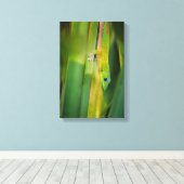 Gold Dust Day Gecko 2 Leinwanddruck (Insitu (Holzboden))