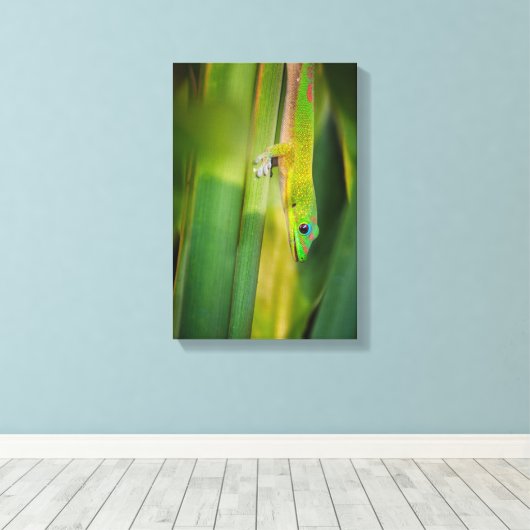 Gold Dust Day Gecko 2 Leinwanddruck (Insitu (Holzboden))