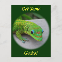 Gold Dust Day Gecko – Audition and Get Some Gecko