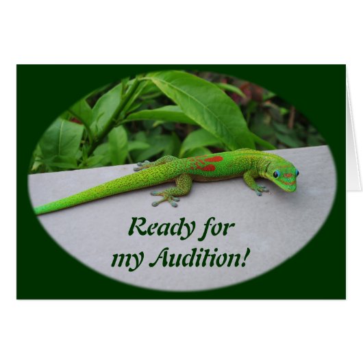 Gold Dust Day Gecko - Audition und Gecko holen (Vorderseite (Horizontal))
