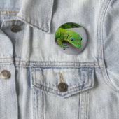 Gold Dust Day Gecko - Audition und Gecko holen Button (Beispiel)
