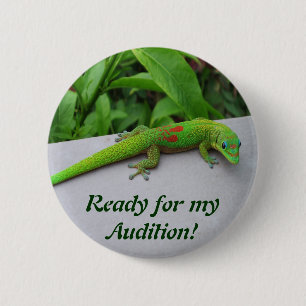Gold Dust Day Gecko - Audition und Gecko holen Button