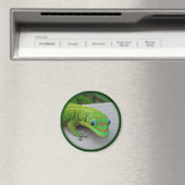Gold Dust Day Gecko - Audition und Gecko holen Magnet (In Situ (Geschirrspüler))