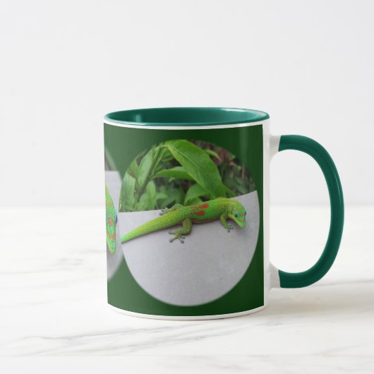 Gold Dust Day Gecko - Audition und Gecko holen Tasse (Rechts)