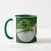 Gold Dust Day Gecko - Audition und Gecko holen Tasse (Links)