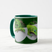 Gold Dust Day Gecko - Audition und Gecko holen Tasse (Vorderseite Links)