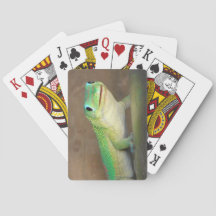 Gold Dust Day Gecko Foto