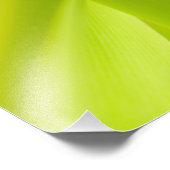 Gold Dust Day Gecko Fotodruck (Ecke)