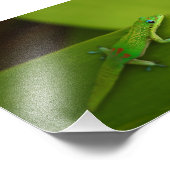 Gold Dust Day Gecko Fotodruck (Ecke)
