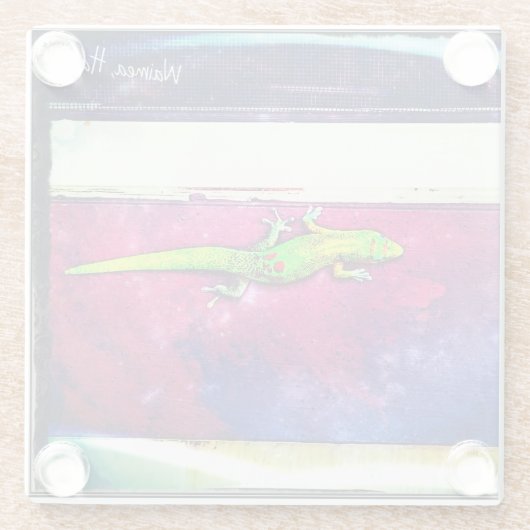 Gold Dust Day Gecko Glasuntersetzer (Rückseite)