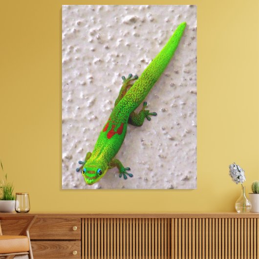 Gold Dust Day Gecko Leinwanddruck (Insitu (Wohnzimmer))