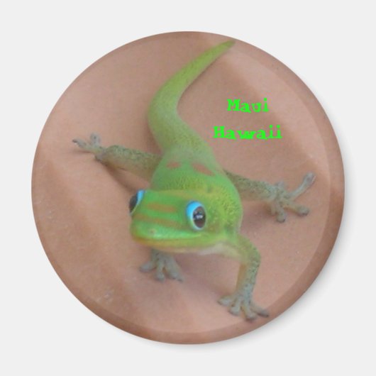 Gold Dust Day Gecko Magnet (Vorne)