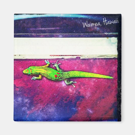 Gold Dust Day Gecko Magnet (Vorne)