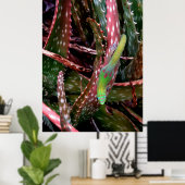 Gold Dust Day Gecko Poster (Heimbüro)