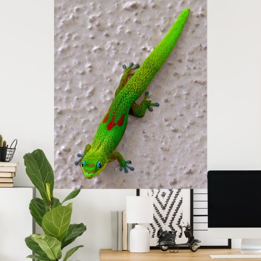 Gold Dust Day Gecko Poster (Heimbüro)