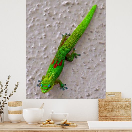 Gold Dust Day Gecko Poster (Küche)