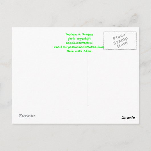 Gold Dust Day Gecko Postkarte (Rückseite)