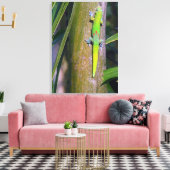 Gold Dust Gecko "Goldstaubgecko", Gecko, tropisch Leinwanddruck (Insitu (Wohnzimmer))